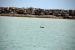 2014-04-09, 033, Dolphins, S Padre Island, TX