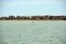 2014-04-09, 039, Dolphins, S Padre Island, TX