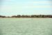 2014-04-09, 042, Dolphins, S Padre Island, TX