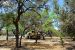 2014-05-01, 003, Garner State Park, TX