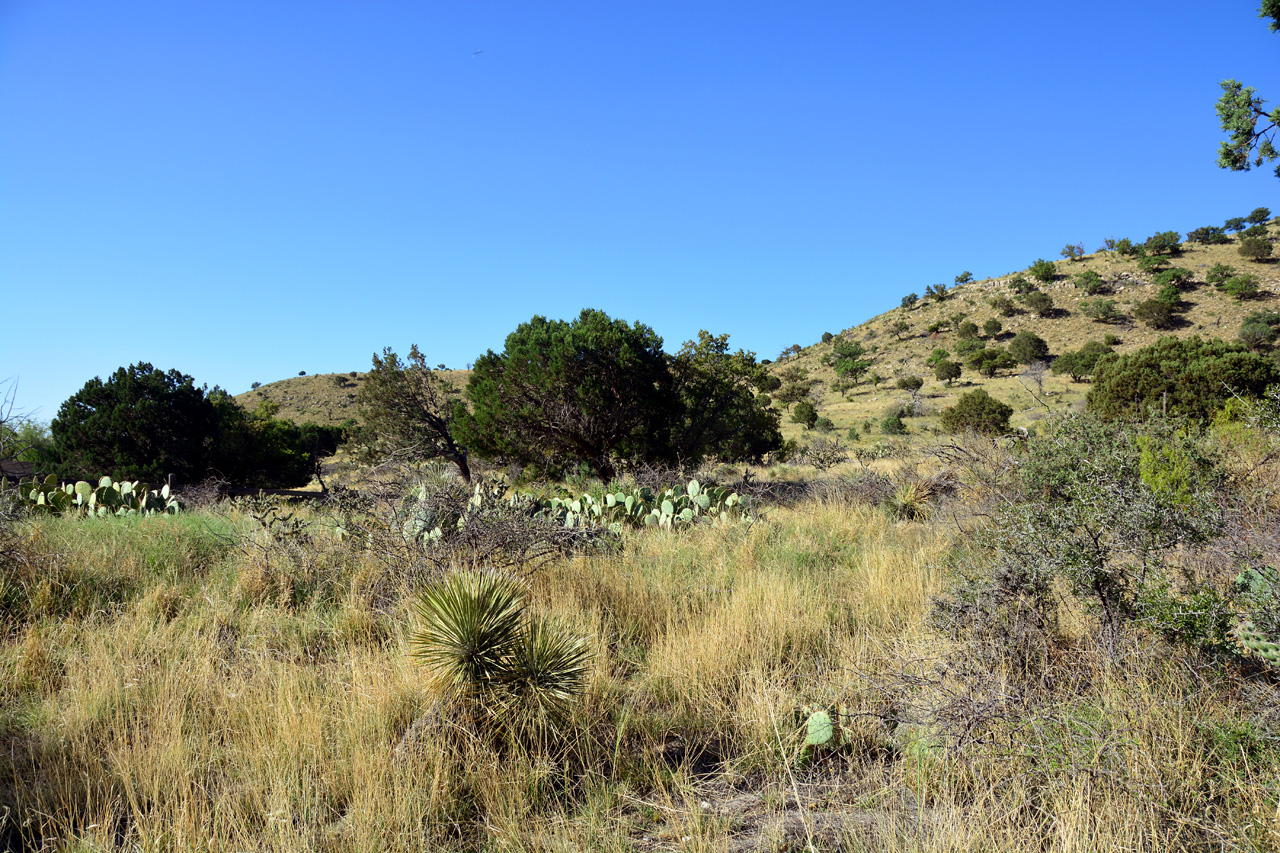2014-05-05, 002, Devil's Hall Trail
