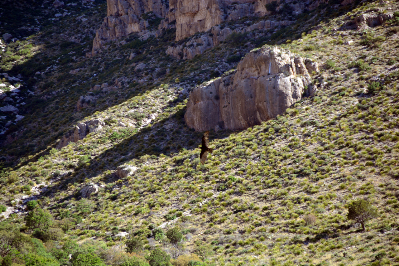 2014-05-05, 015, Devil's Hall Trail
