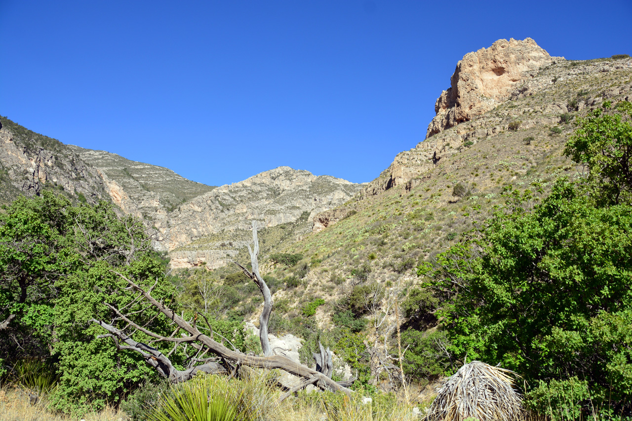 2014-05-05, 019, Devil's Hall Trail