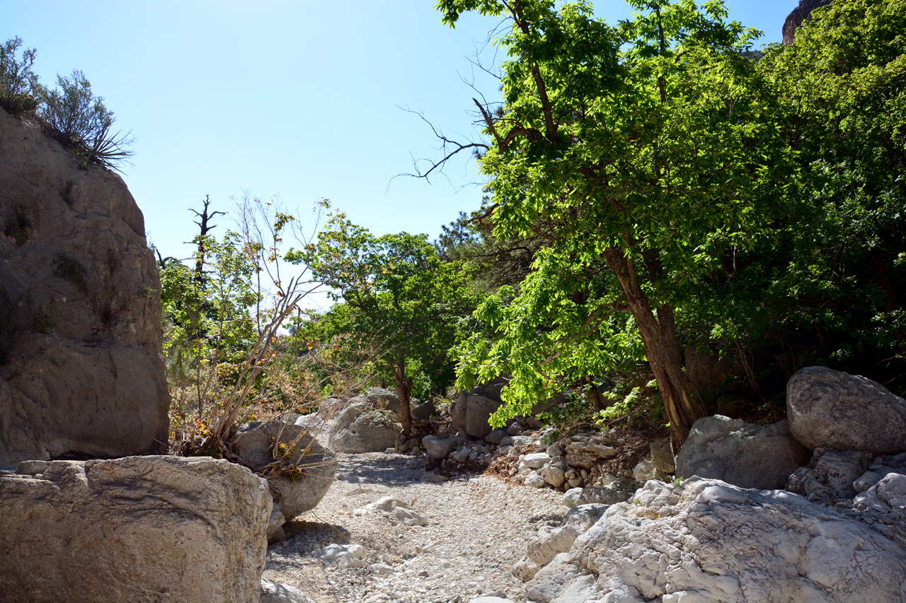 2014-05-05, 028, Devil's Hall Trail