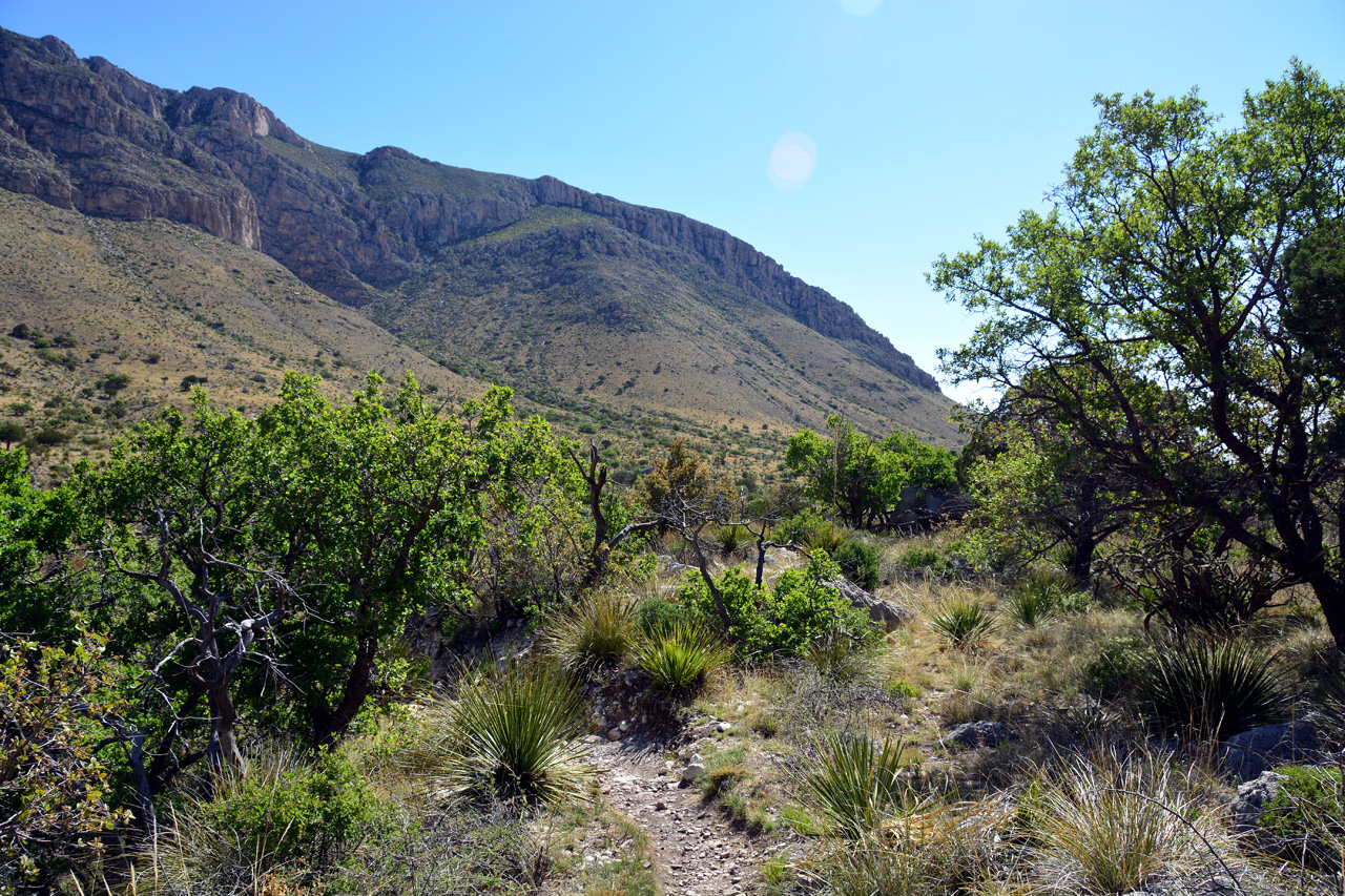 2014-05-05, 036, Devil's Hall Trail