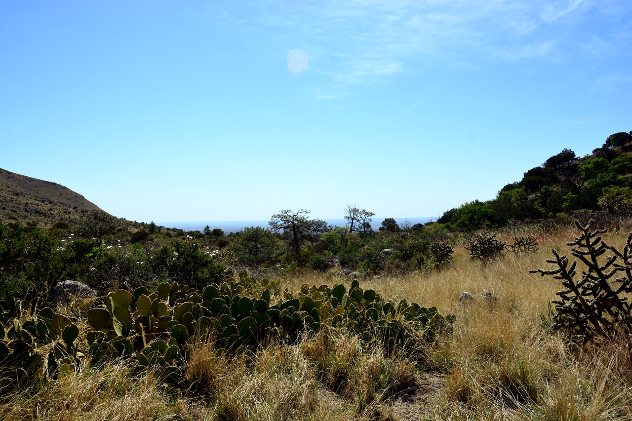 2014-05-05, 038, Devil's Hall Trail