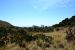 2014-05-05, 038, Devil's Hall Trail