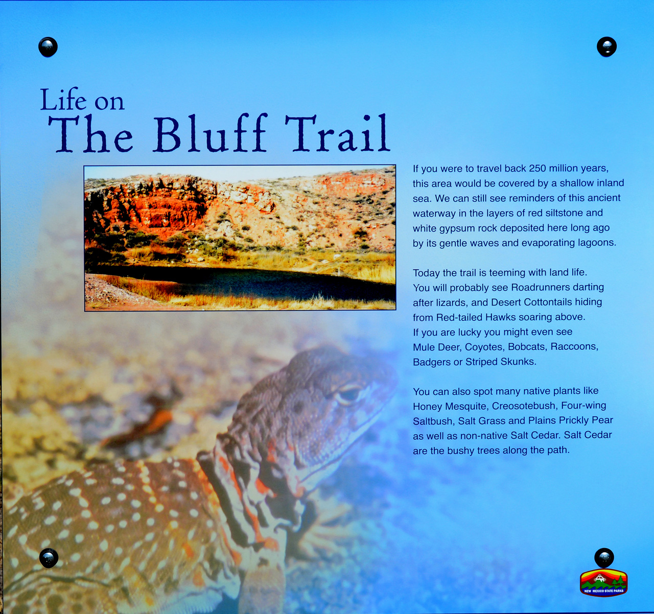 2014-05-09, 001, Buff Trail