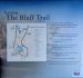 2014-05-09, 002, Buff Trail