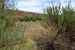 2014-05-09, 004, Lea Lake Overflow