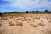 2014-05-09, 008, Salt Deposits on Soil