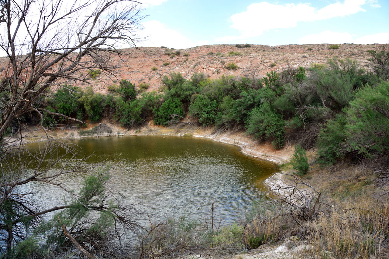 2014-05-07, 024, Figure Eight Lake, NM