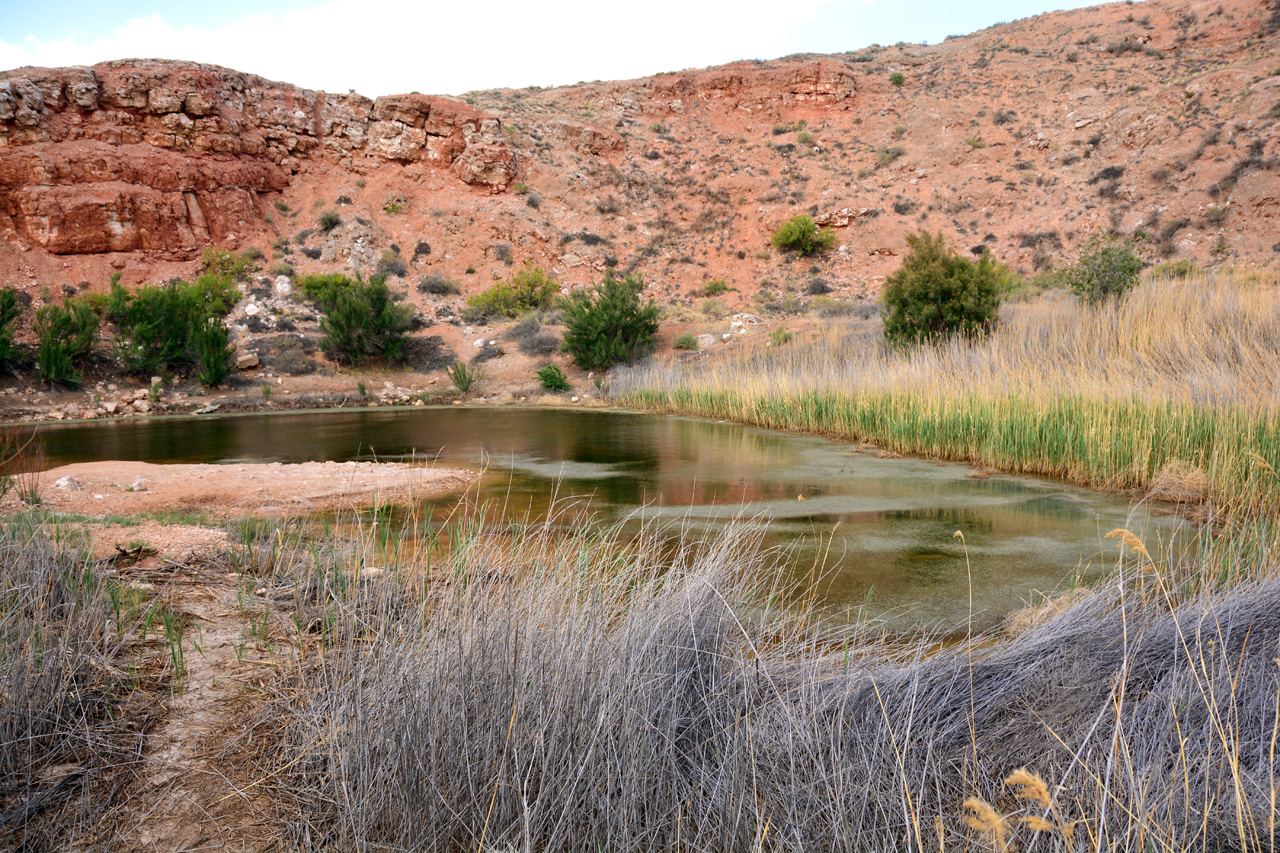 2014-05-07, 027, Pasture Lake, NM