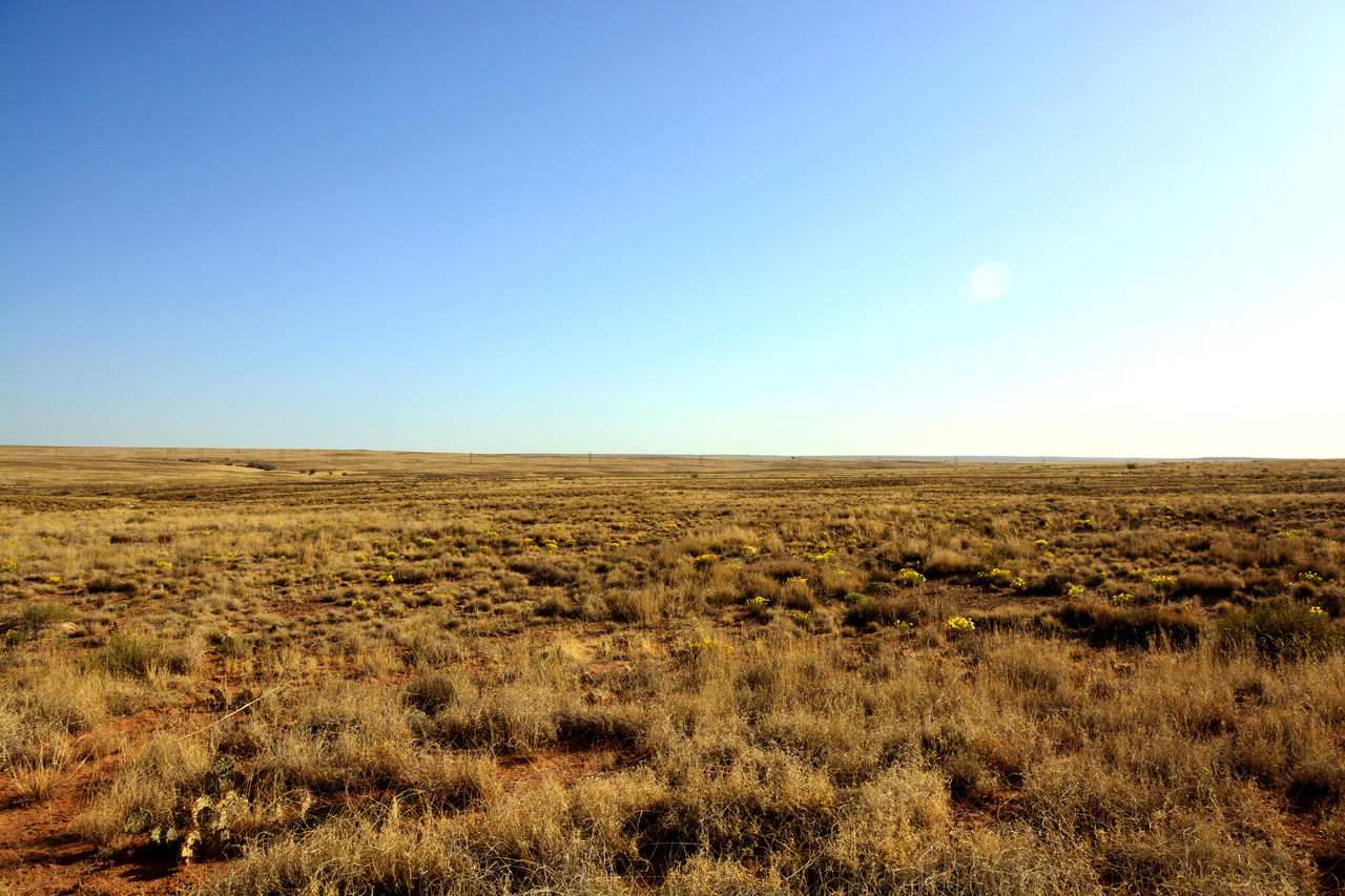 2014-05-08, 002, Skidmarks Trail