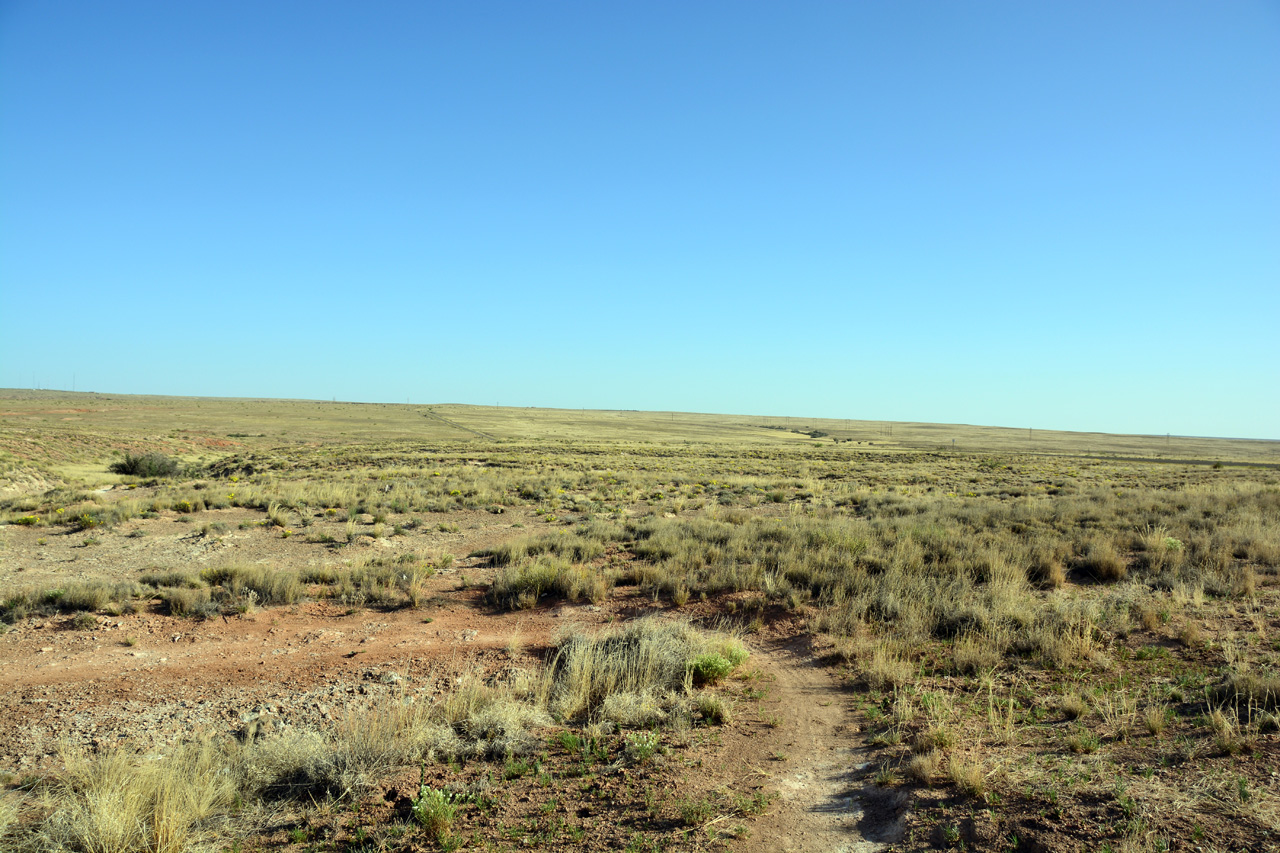 2014-05-08, 004, Skidmarks Trail