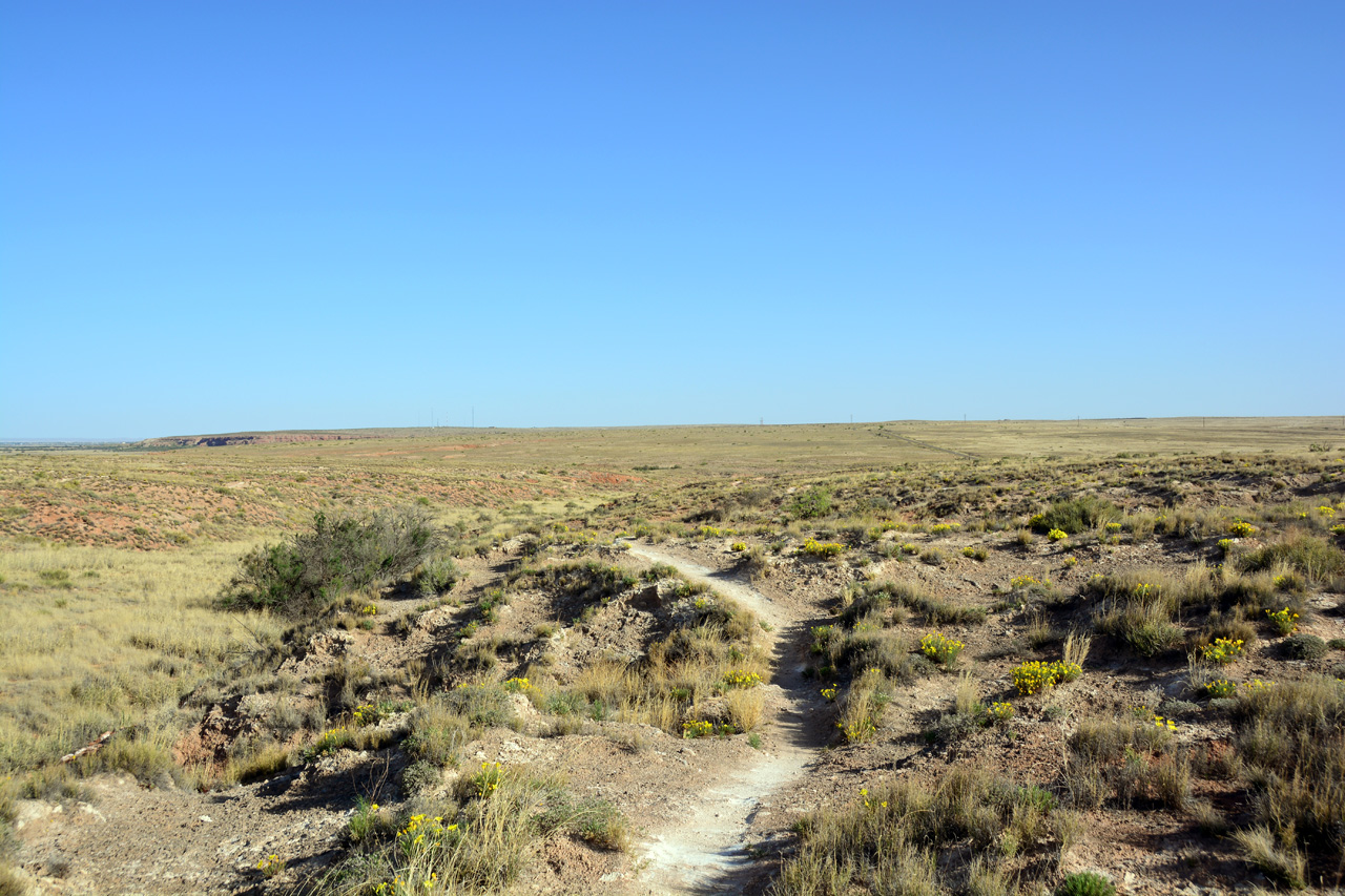 2014-05-08, 005, Skidmarks Trail