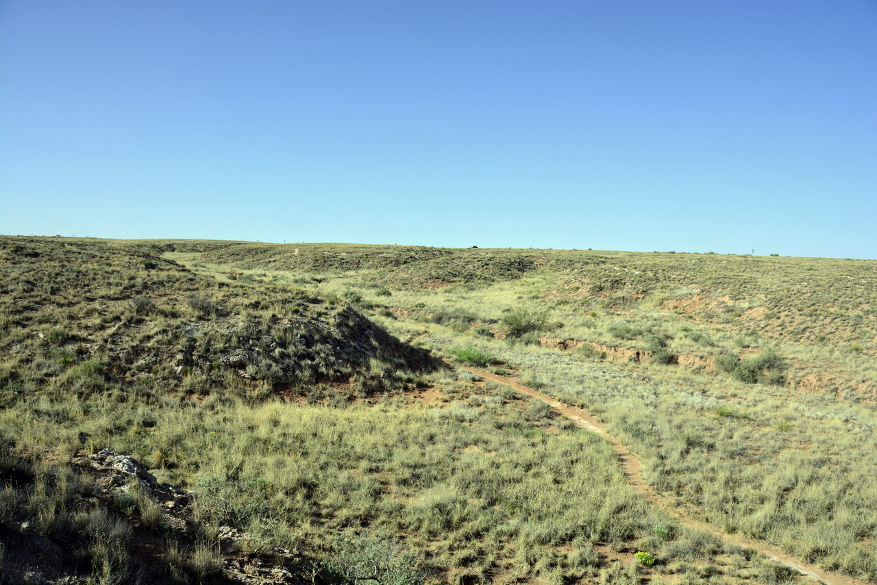 2014-05-08, 007, Skidmarks Trail