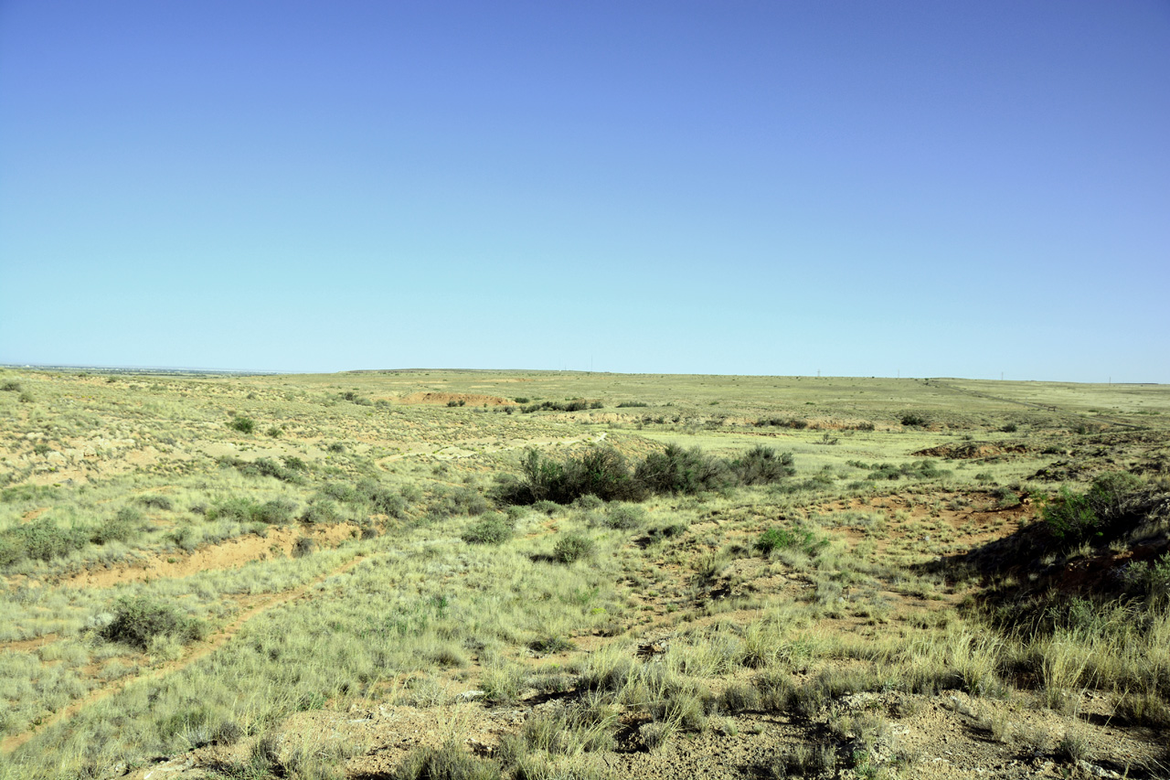 2014-05-08, 008, Skidmarks Trail