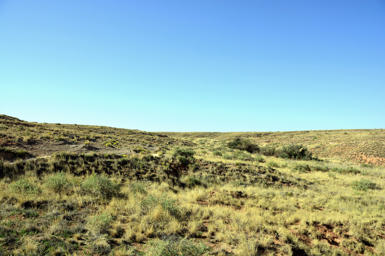 2014-05-08, 012, Skidmarks Trail