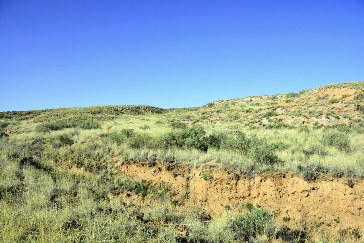 2014-05-08, 015, Skidmarks Trail