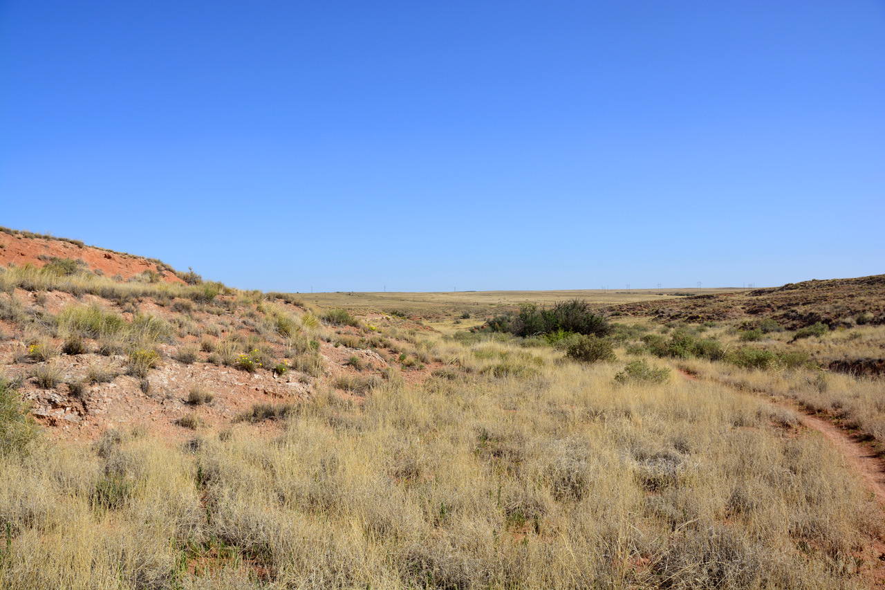 2014-05-08, 023, Skidmarks Trail