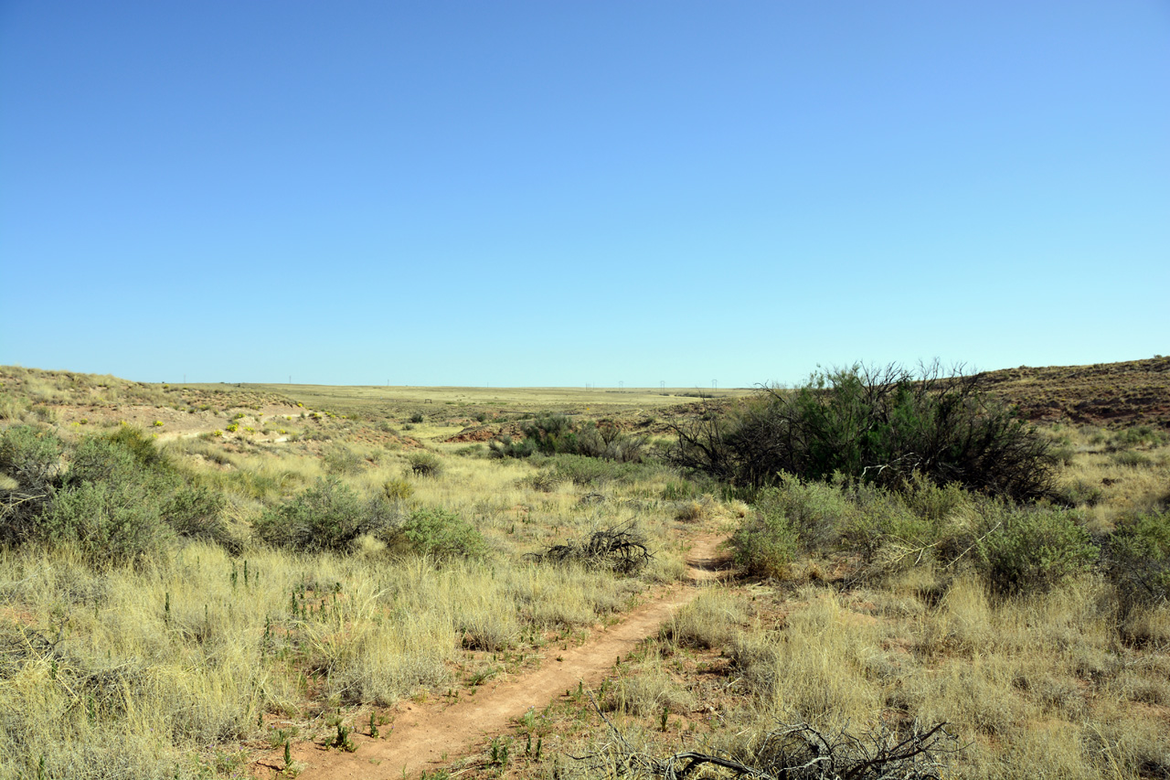 2014-05-08, 024, Skidmarks Trail