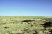 2014-05-08, 008, Skidmarks Trail