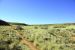2014-05-08, 016, Skidmarks Trail