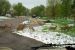 2014-05-11, 008, A Group of Deer pass by