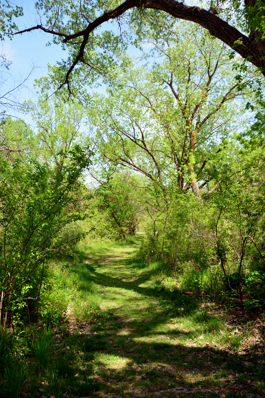 2014-0519, 005, Mormon Island State Park, NE