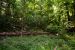 2014-06-11, 016, Views from around the Park