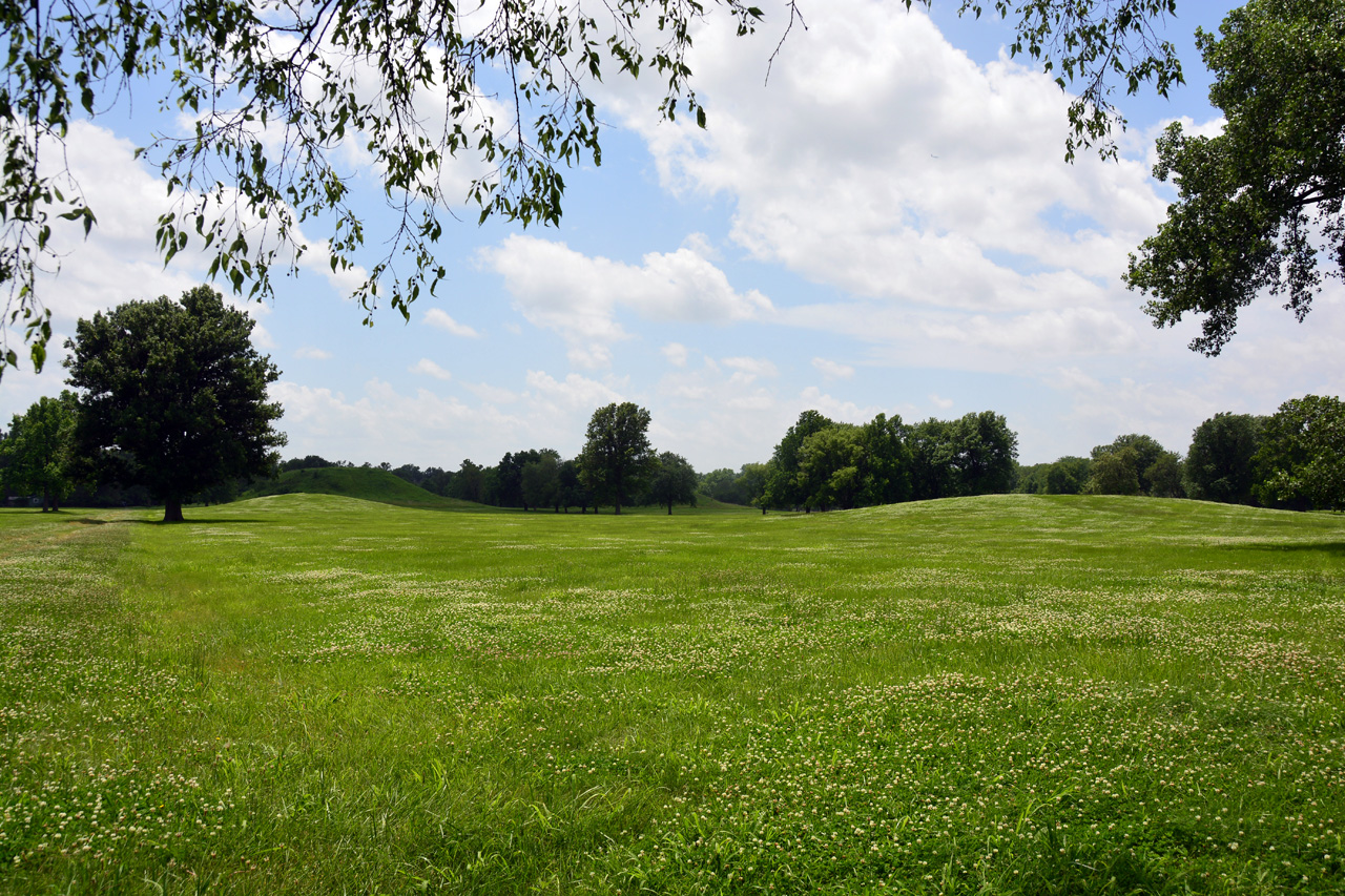 2014-06-17, 045, Cahokia Mounds SP, IL