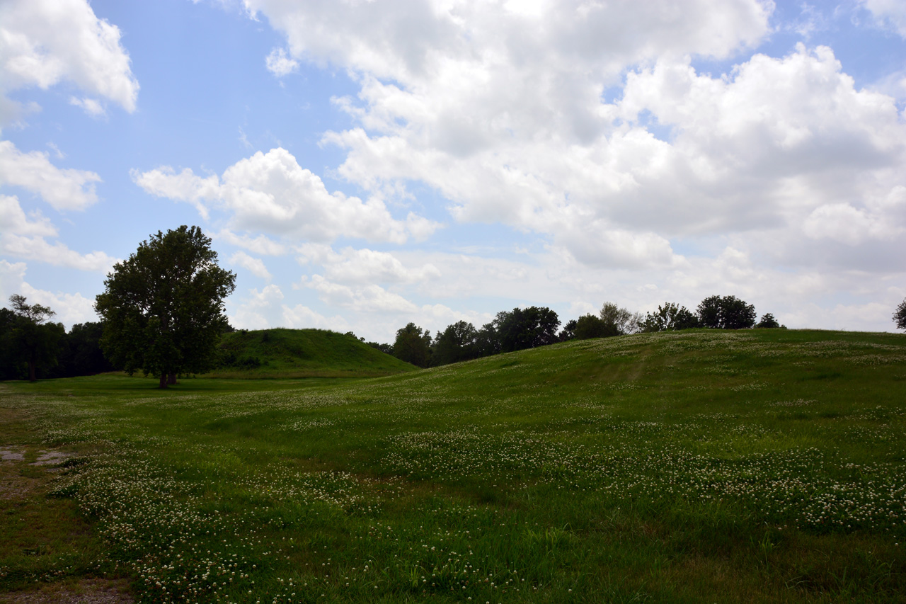 2014-06-17, 047, Cahokia Mounds SP, IL
