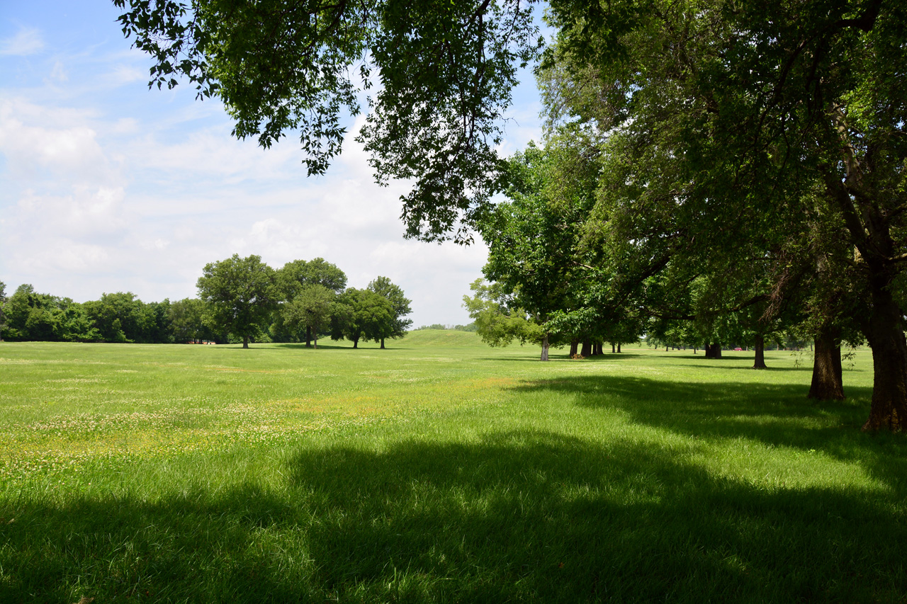 2014-06-17, 050, Cahokia Mounds SP, IL