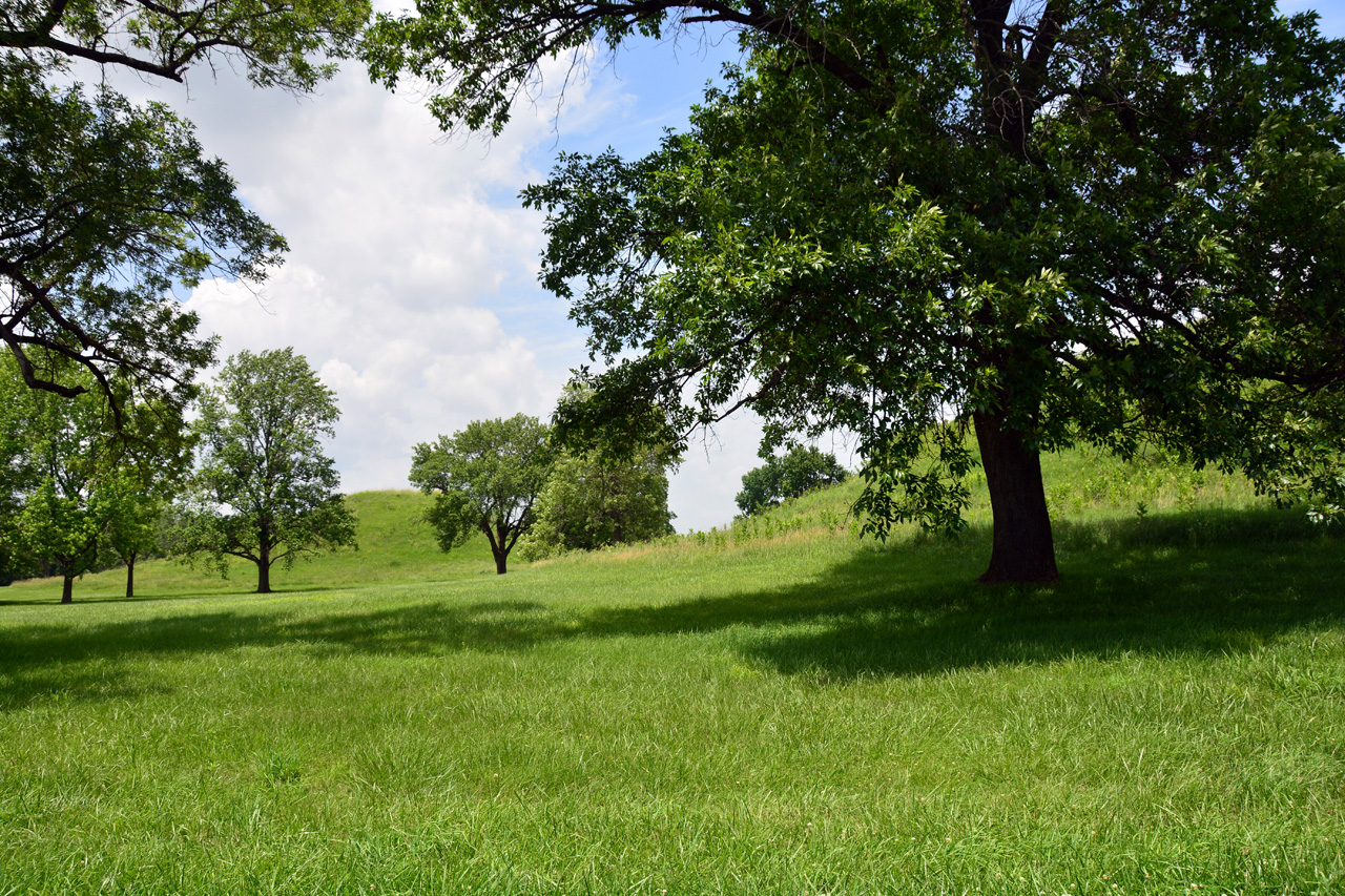 2014-06-17, 058, Cahokia Mounds SP, IL