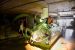 2014-07-09, 012, City Museum, St Louis, MO