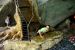 2014-07-09, 018, City Museum, St Louis, MO