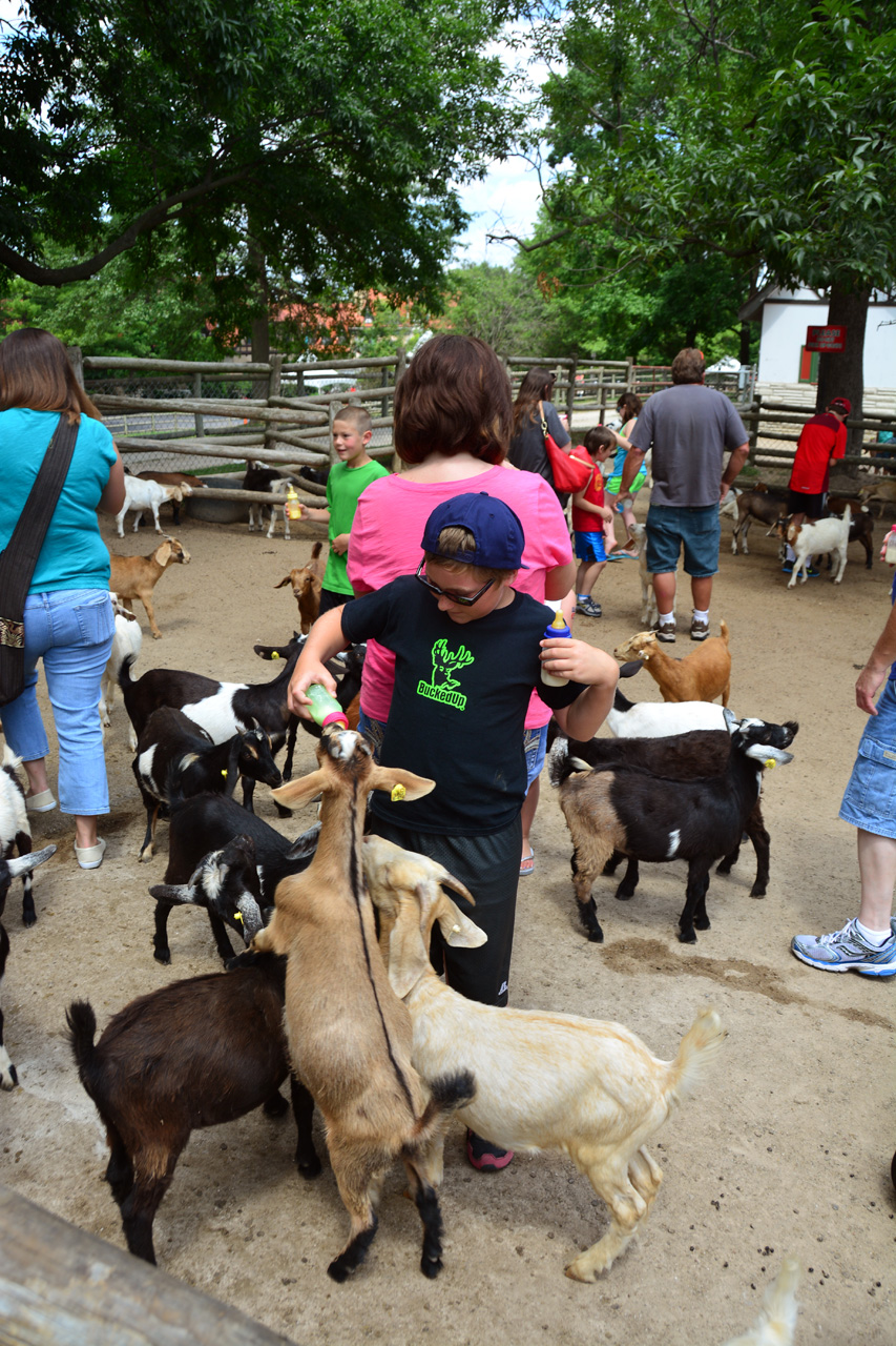 2014-07-04, 008, Grant's Farm, St Louis, MO