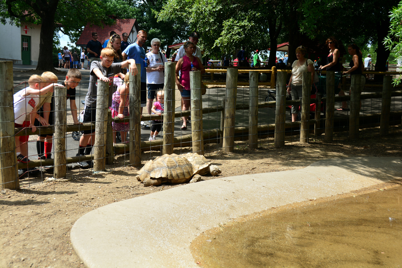 2014-07-04, 012, Grant's Farm, St Louis, MO
