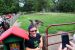 2014-07-04, 043, Grant's Farm, St Louis, MO