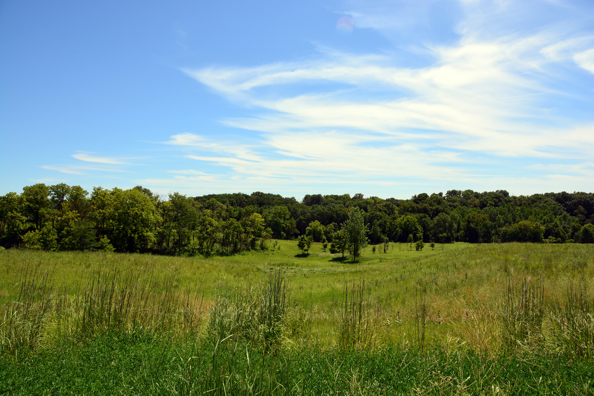 2014-07-24, 015, Trap Range