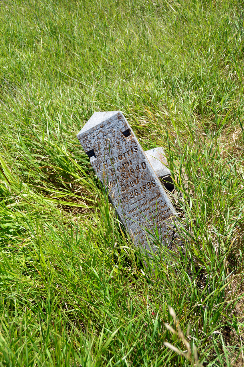 2014-07-24, 018, Cemetary Little Sheperd