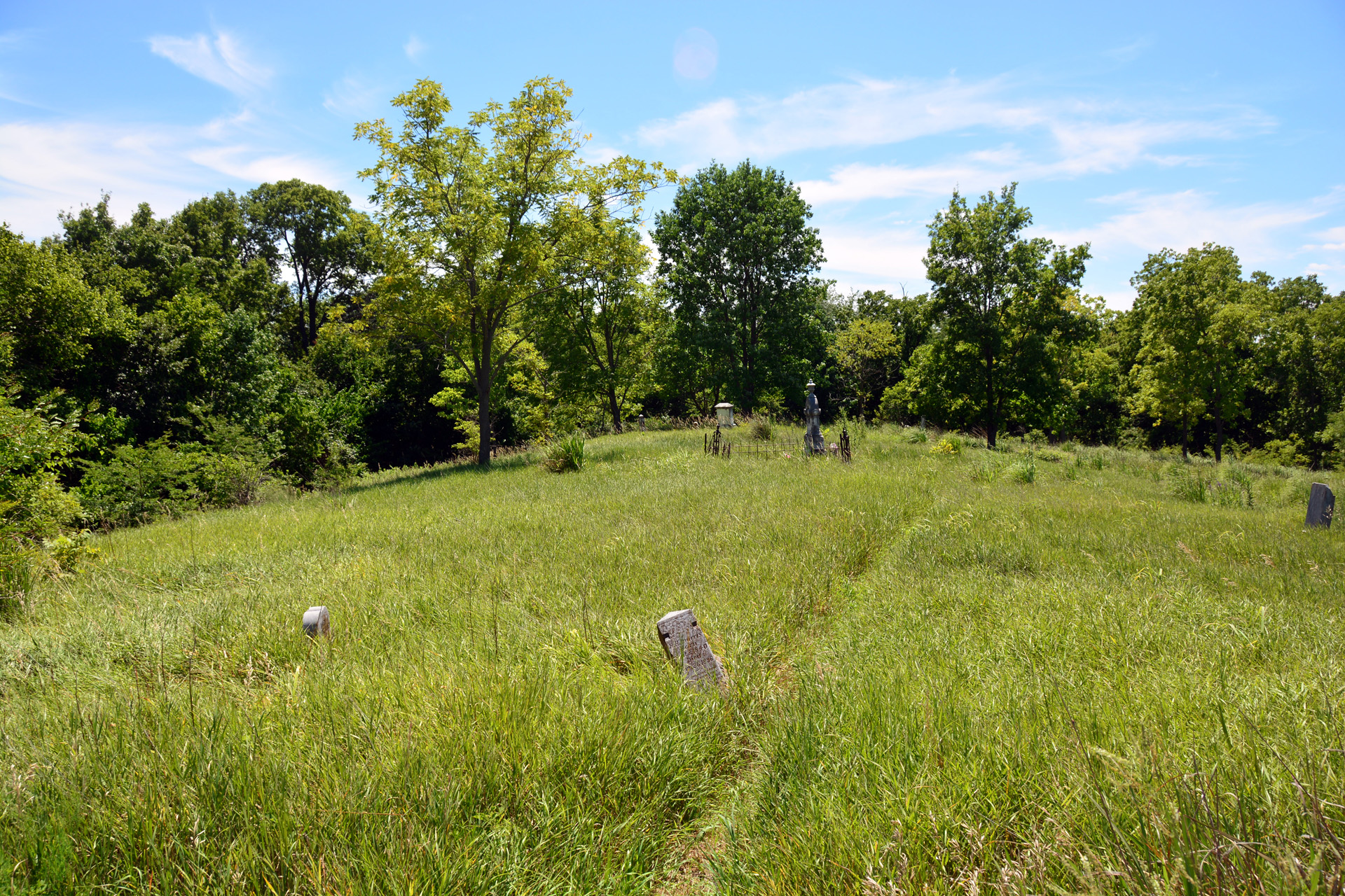 2014-07-24, 019, Cemetary Little Sheperd