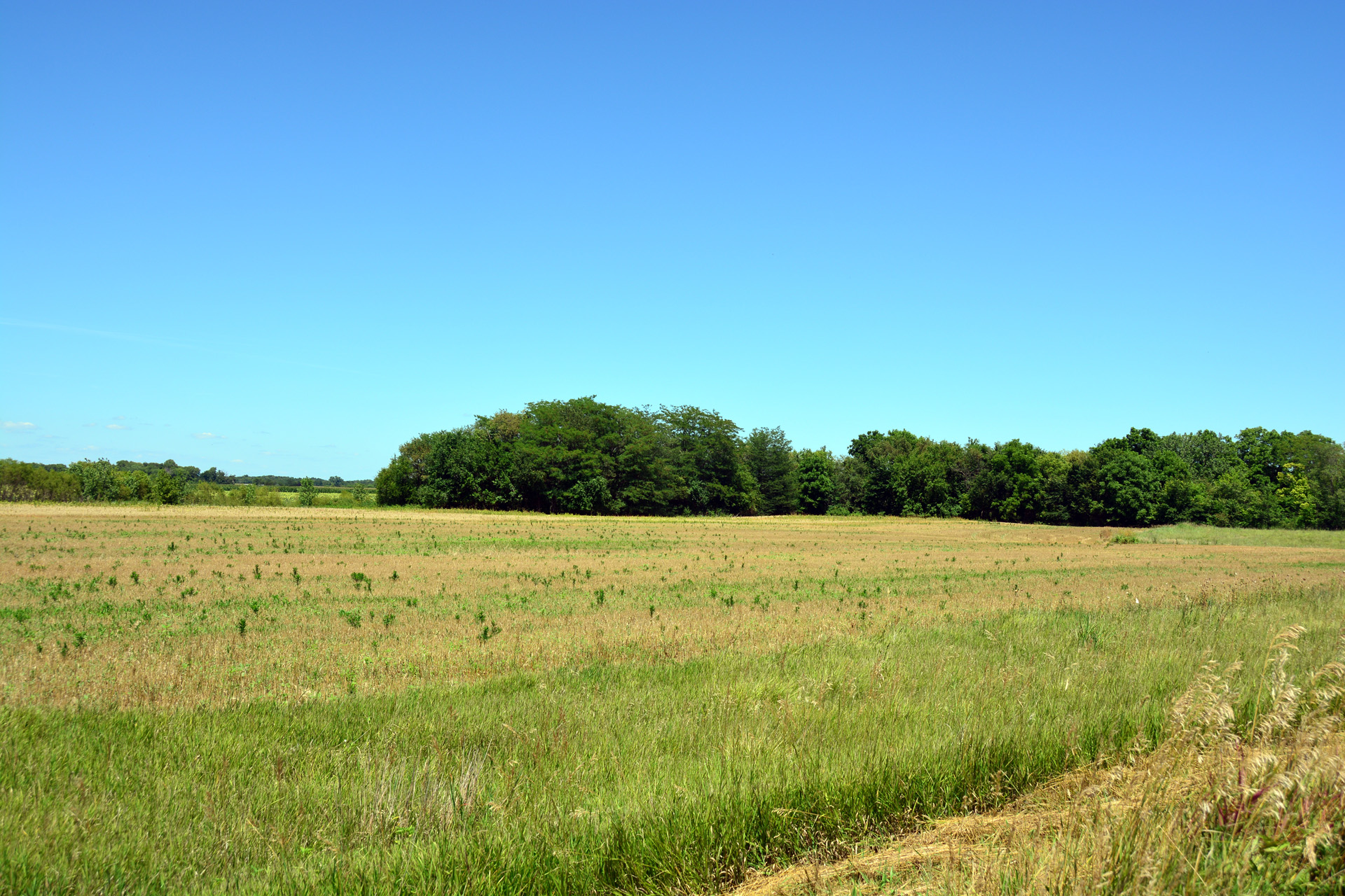 2014-07-24, 025, View at Parking O-4