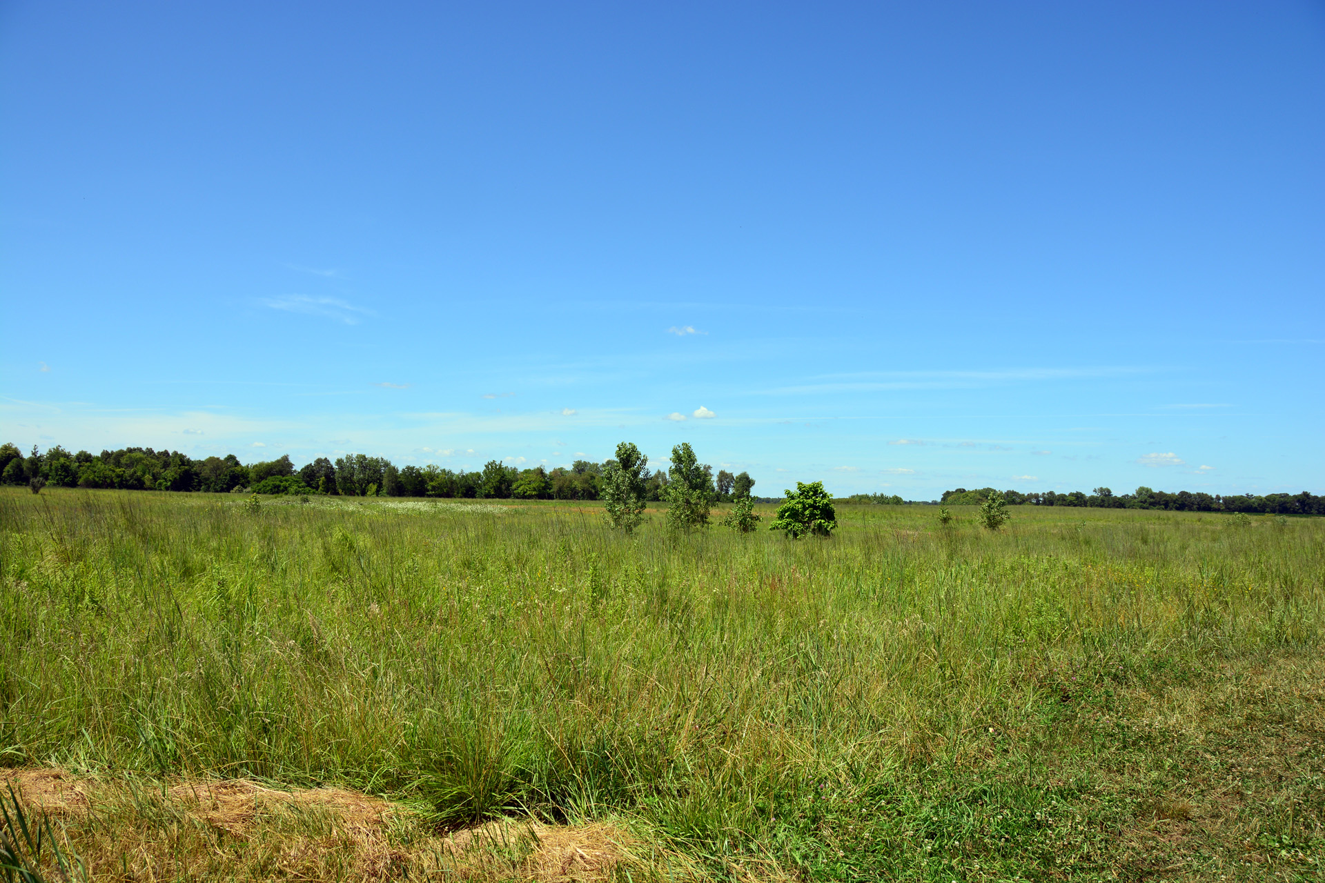 2014-07-24, 029, View at Parking O-3