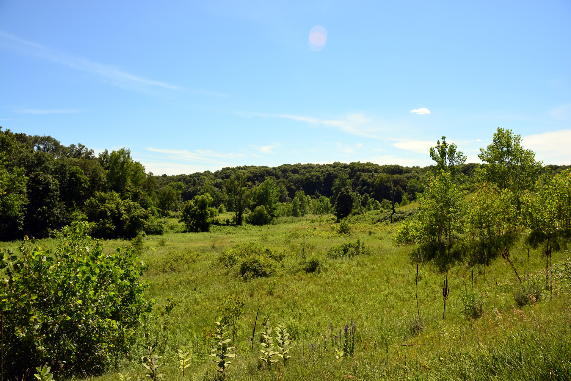 2014-07-24, 033, View at Parking O-2