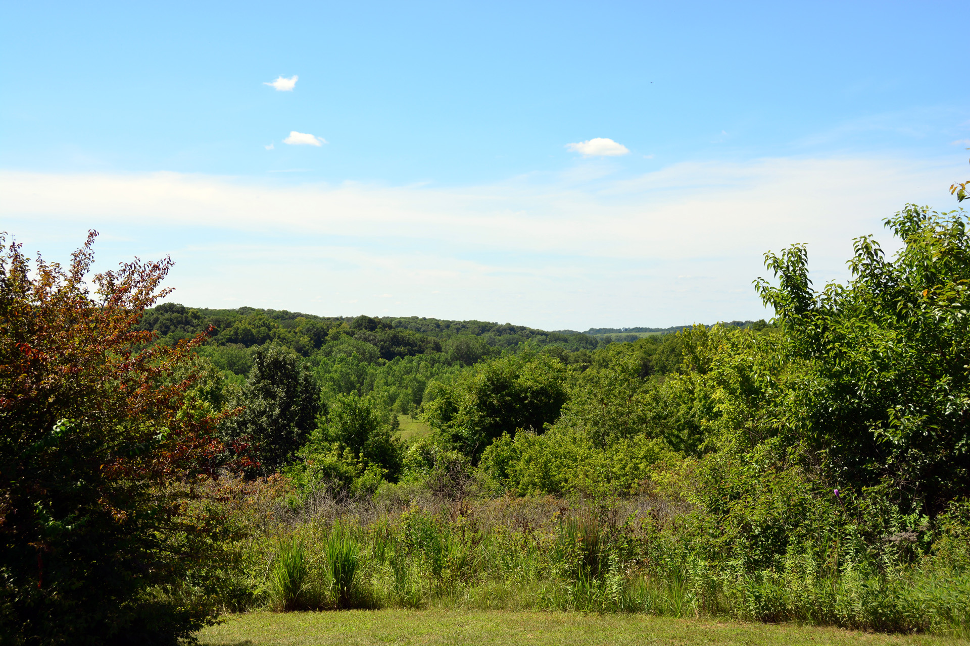 2014-07-24, 045, Jake's Point, Overlook