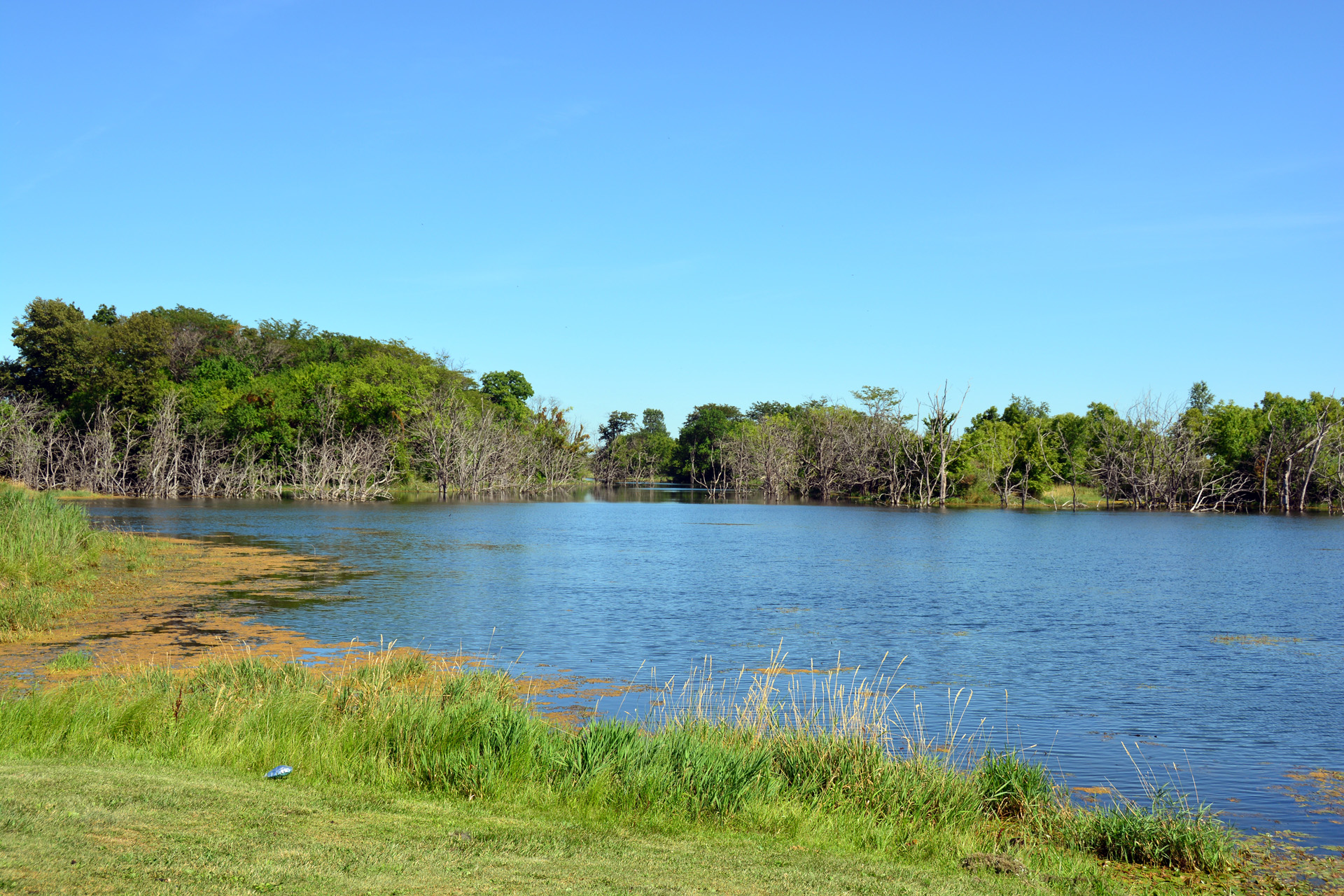 2014-07-24, 060, Gridley Lake