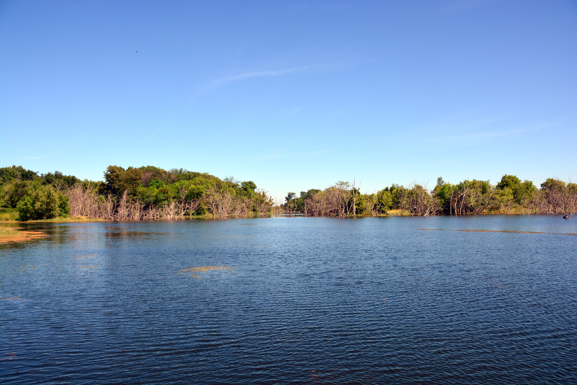 2014-07-24, 061, Gridley Lake
