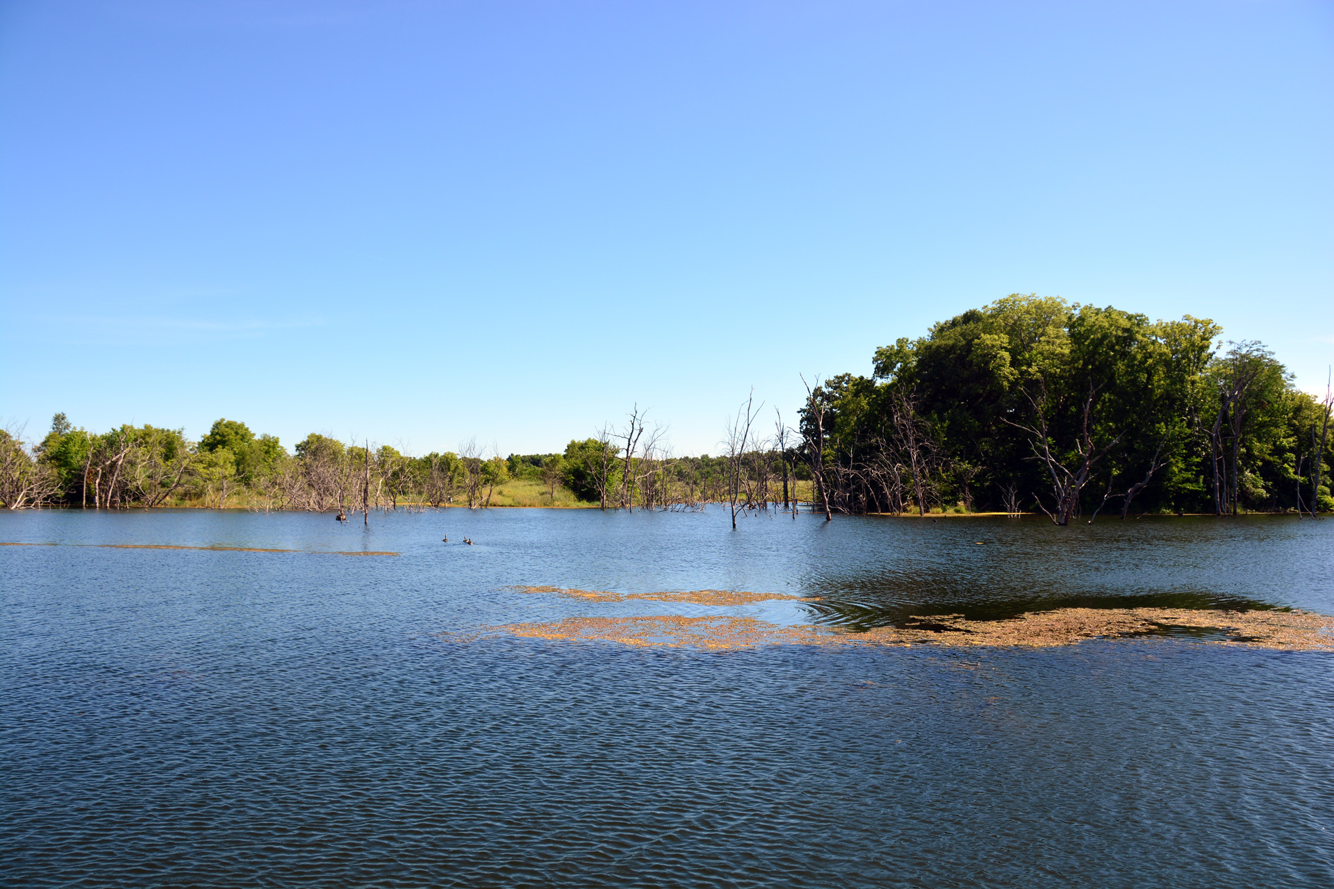 2014-07-24, 063, Gridley Lake